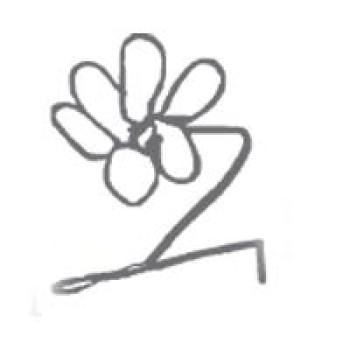 DPO Partner