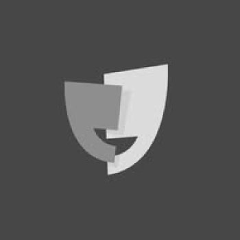 DPO Partner